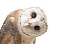 454789537_3278038908995284_1519838051629348892_n